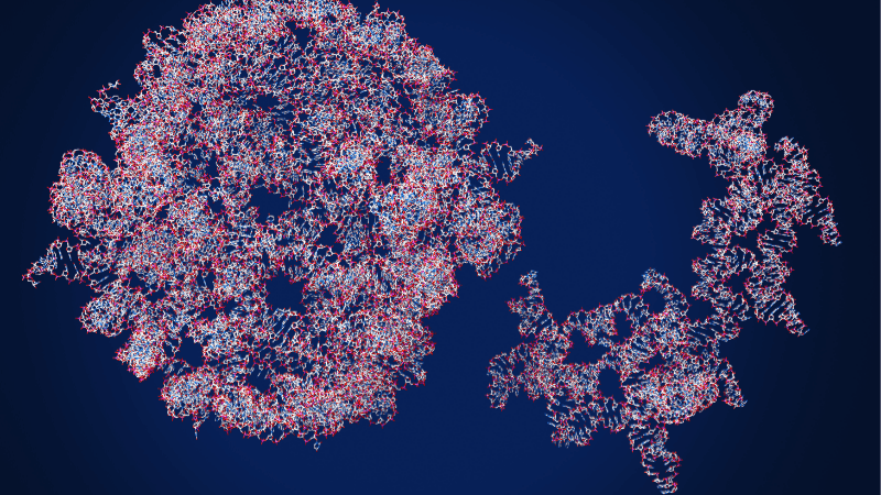 EPM Multimeric RNA Assemblies In RNA Therapeutics
