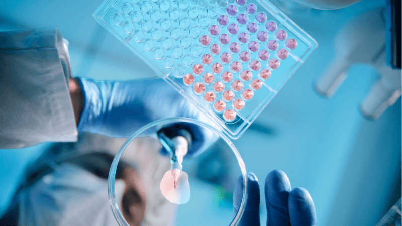 Biopharma Scientist Using A Pipette With Microtiter Plate And Petri Dish