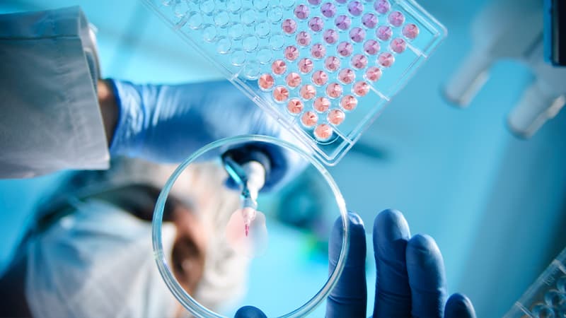 Scientist Using A Pipette With A Microtiter Plate And A Petri Dish