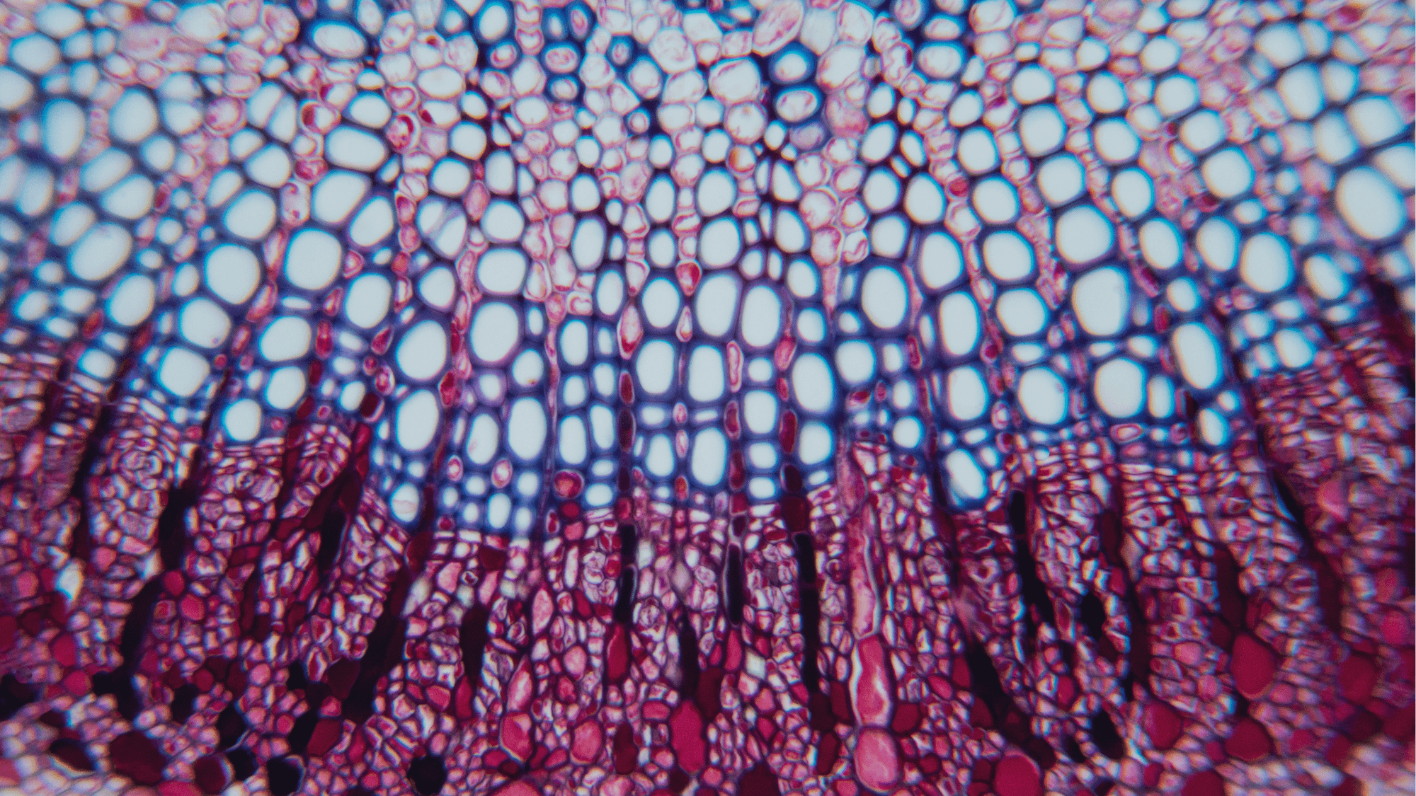 EPM Biotechnology Recruitment