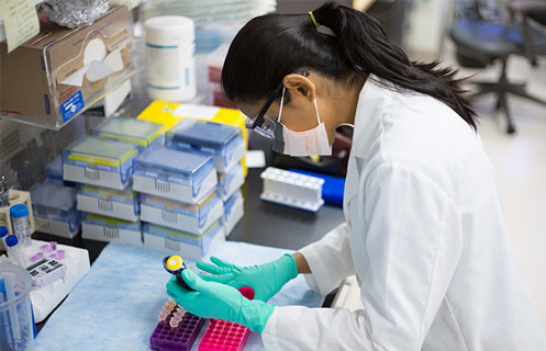 a lab technician checking vials